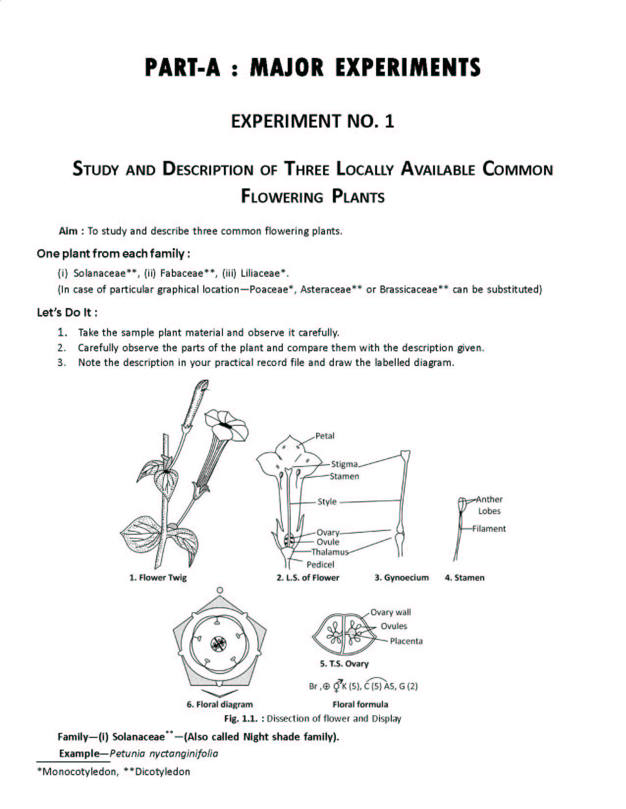 class 11 biology lab manual experiments